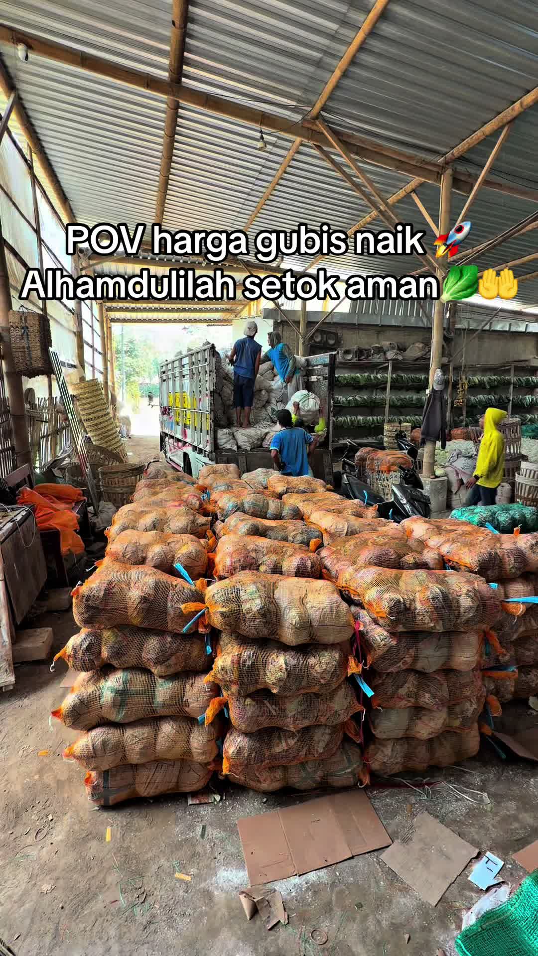 @MEGA TRANS SAYUR MALANG