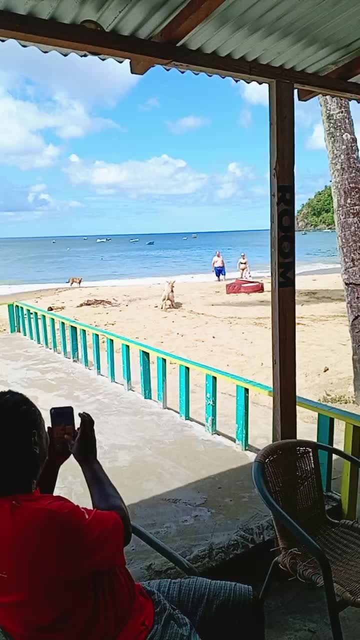 @Cascreole Tobago 🇹🇹
