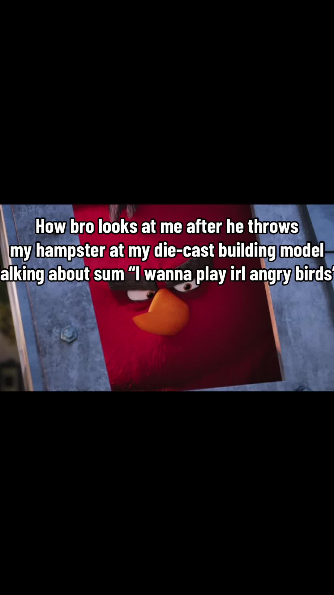 @AngryBirdsMemes