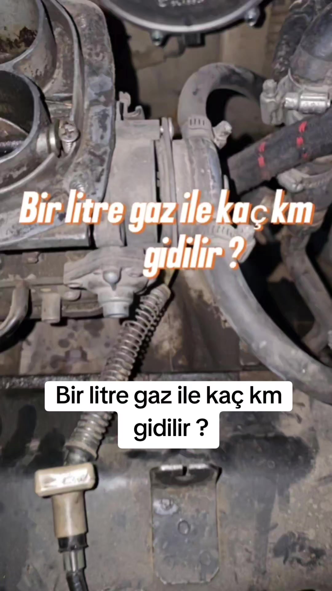 @FENOMEN GAZCI