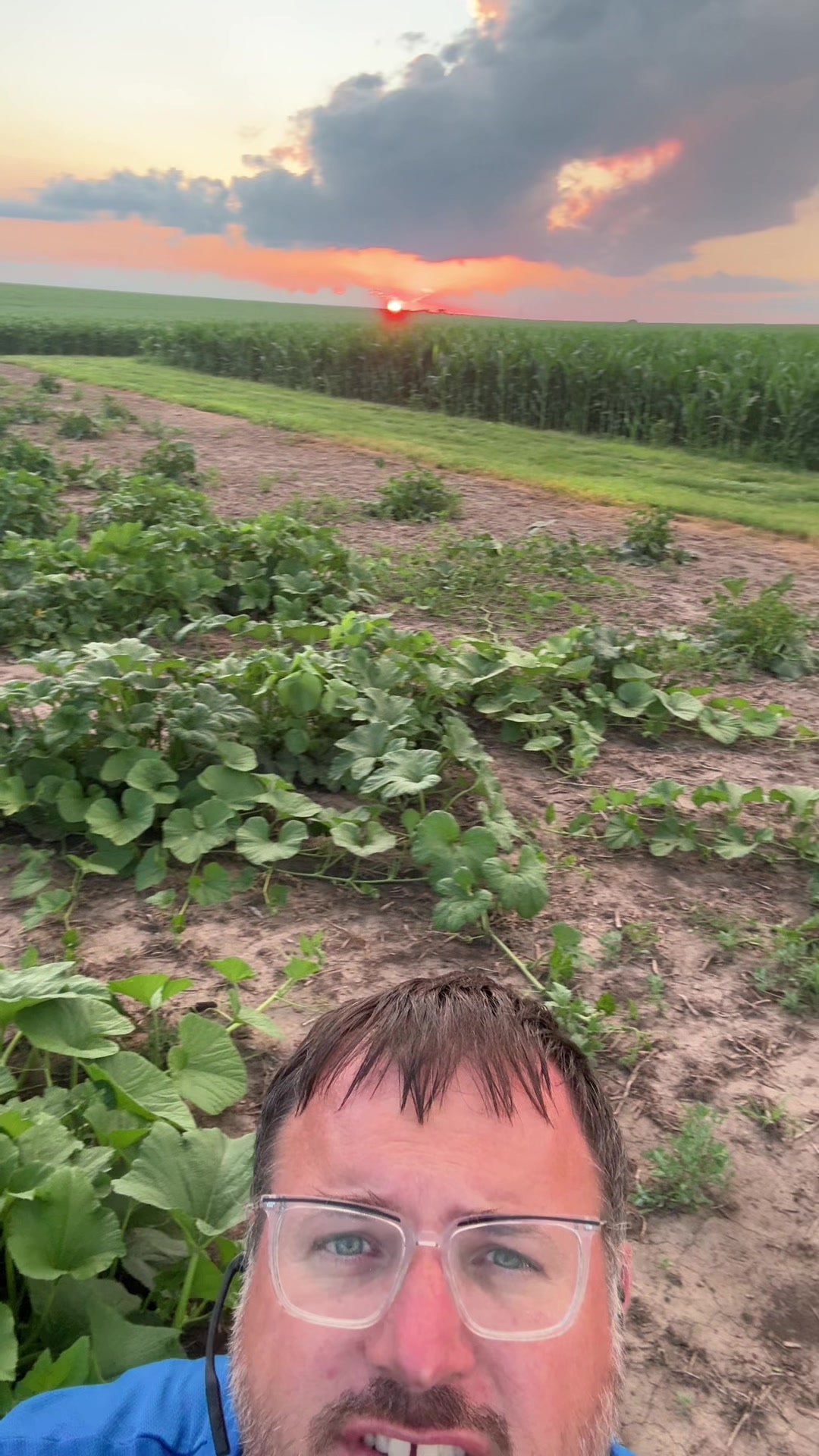 @Vesperman Farms