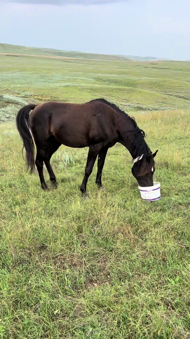 @MakvinStud