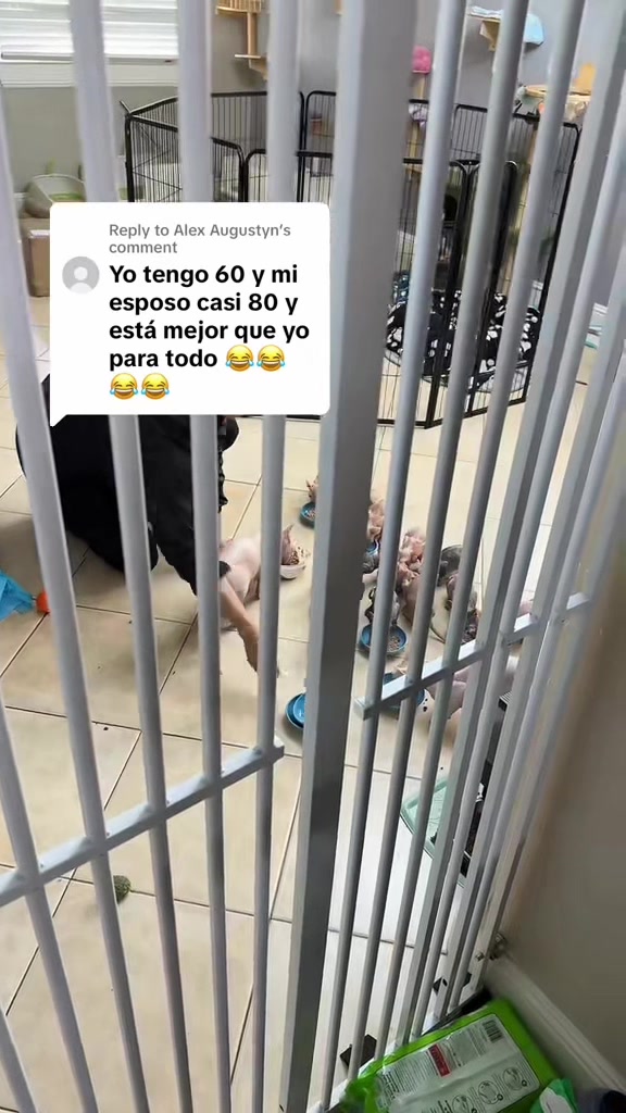 @Elcompachekoylaflaca