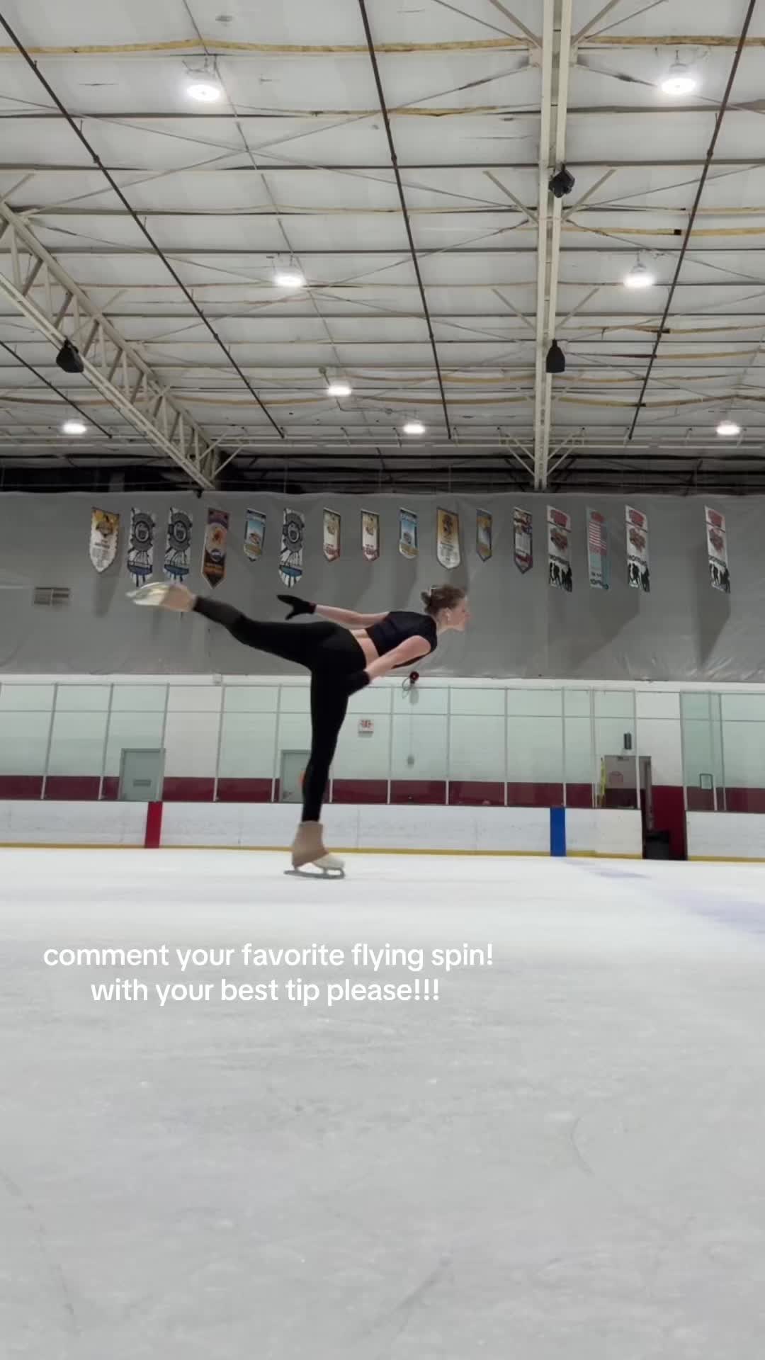 @arctic anna