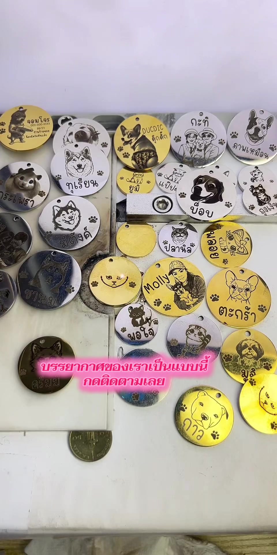 @DIYอุปกรณ์สัตว์เลี้ยง