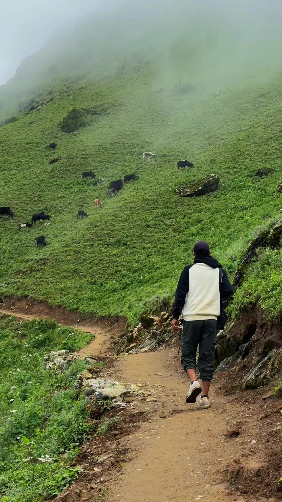 @Basnet Bey-Lu ❤️