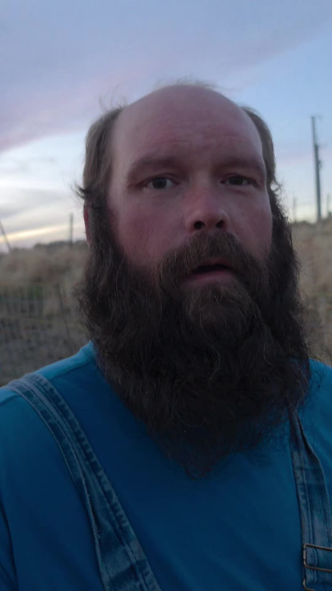 @thebeardedfamily1