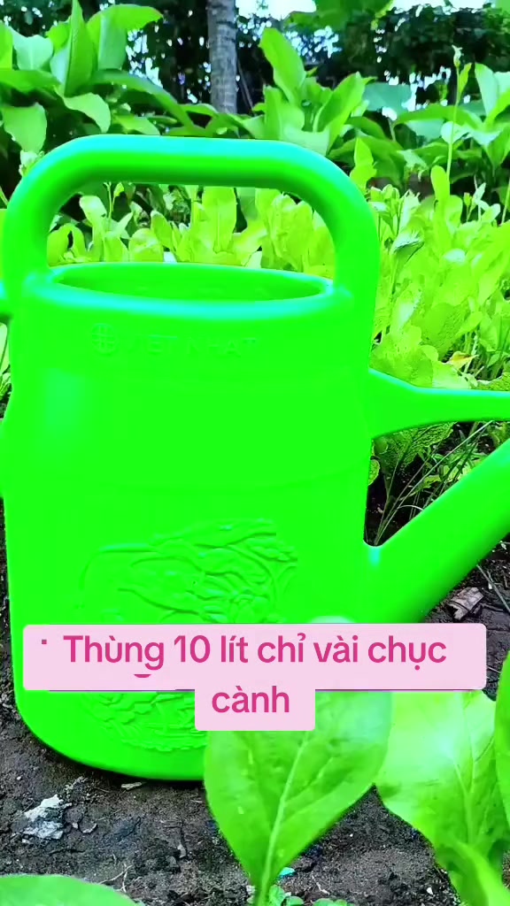 @Lạc Lạc