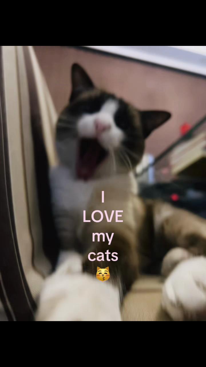 @๐๐๐๐๐ ๐๐๐๐๐๐โ