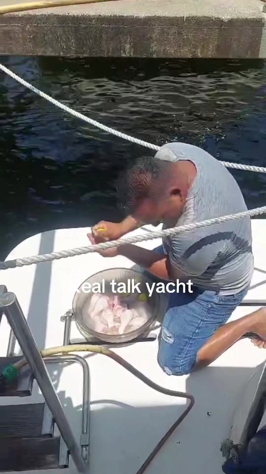 @Saieedali