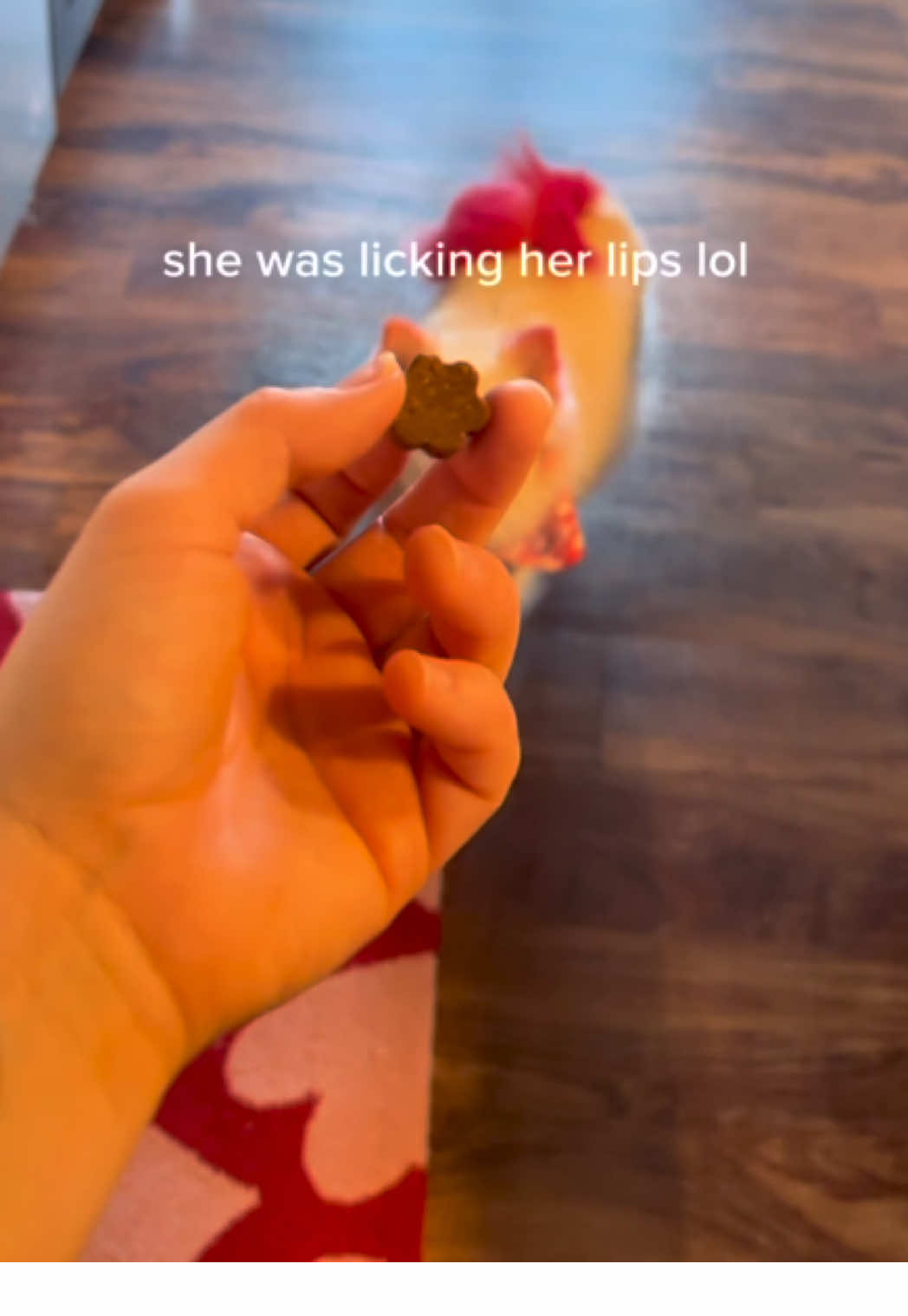 @aprilsilverthorne