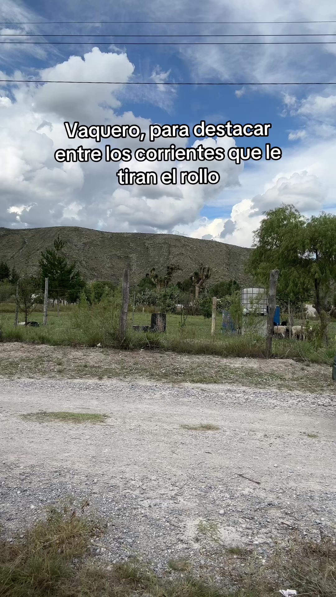@Zariel Bracs
