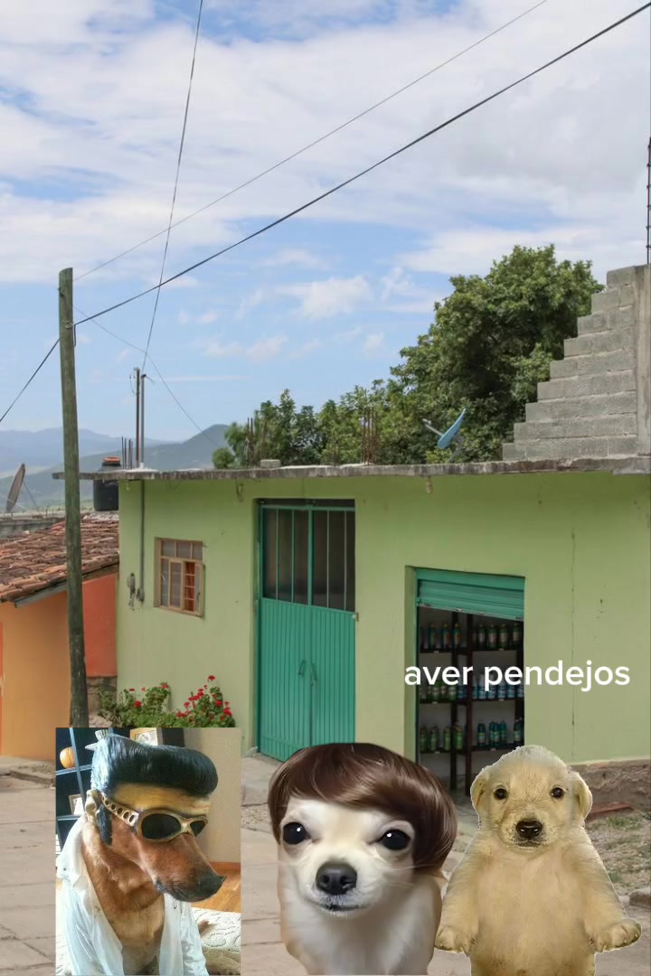 @mateo diaz