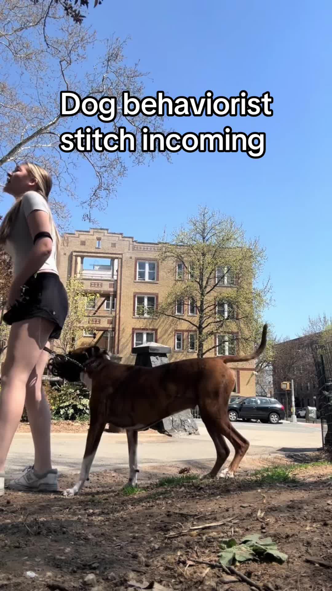 @balancedcanineacademy