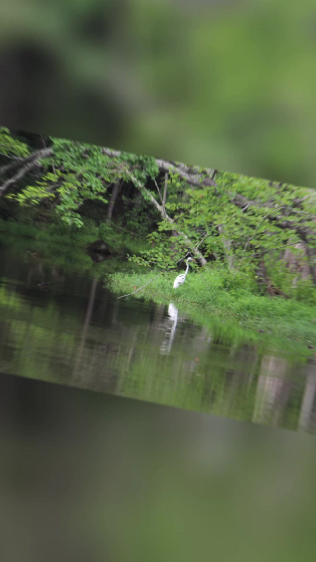 @Fishing the Carolina’s