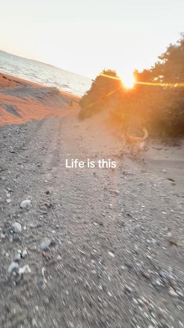 @WanderWoman