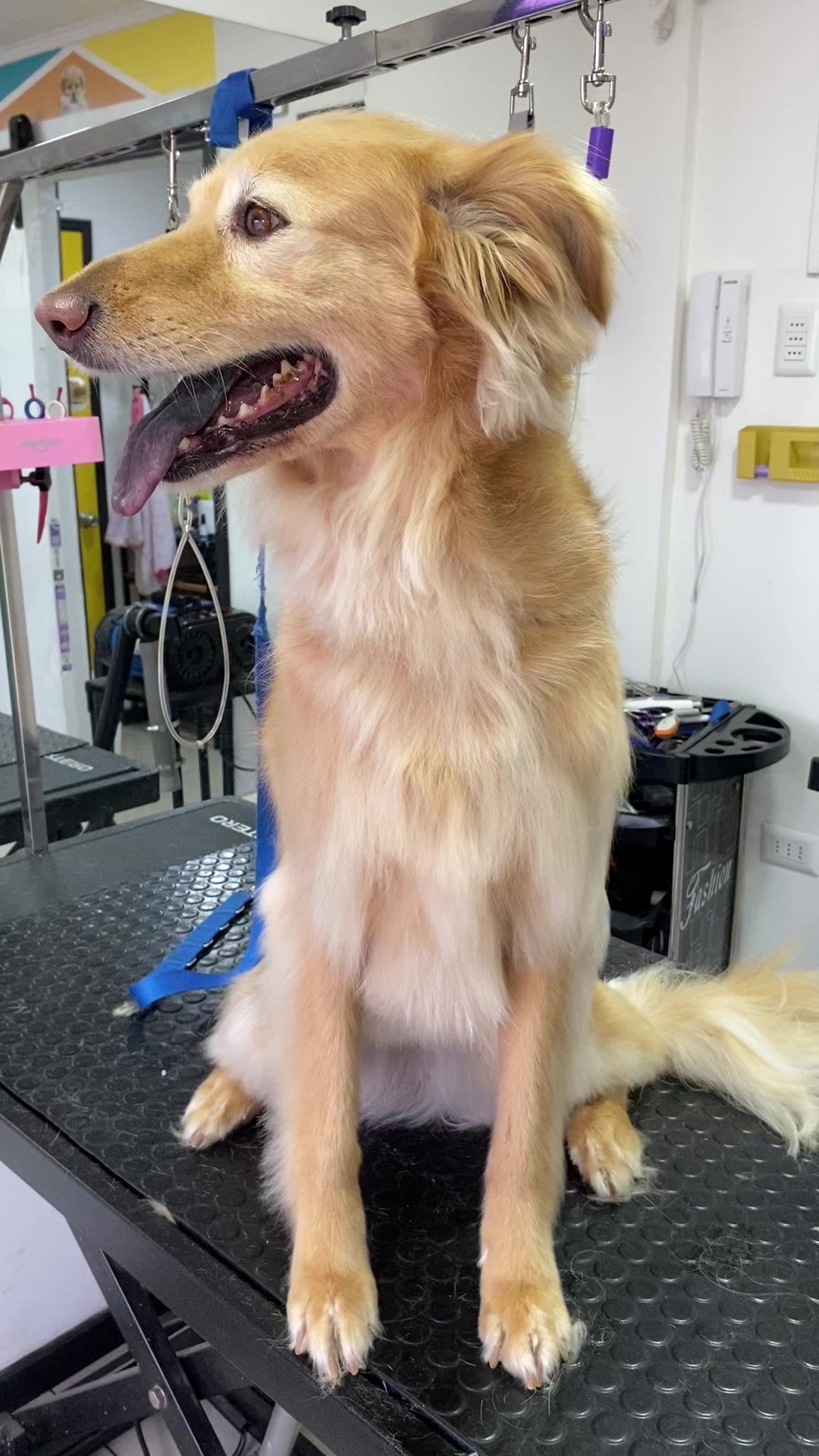 @Gran.kniche🐶