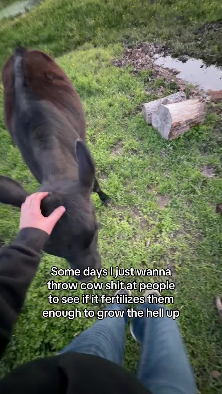 @Chloe Elam