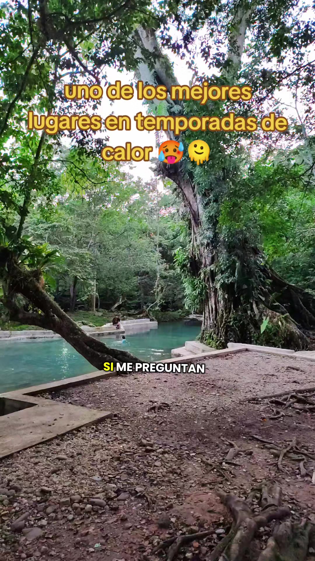 @Zoe Ferreira❤️🥰