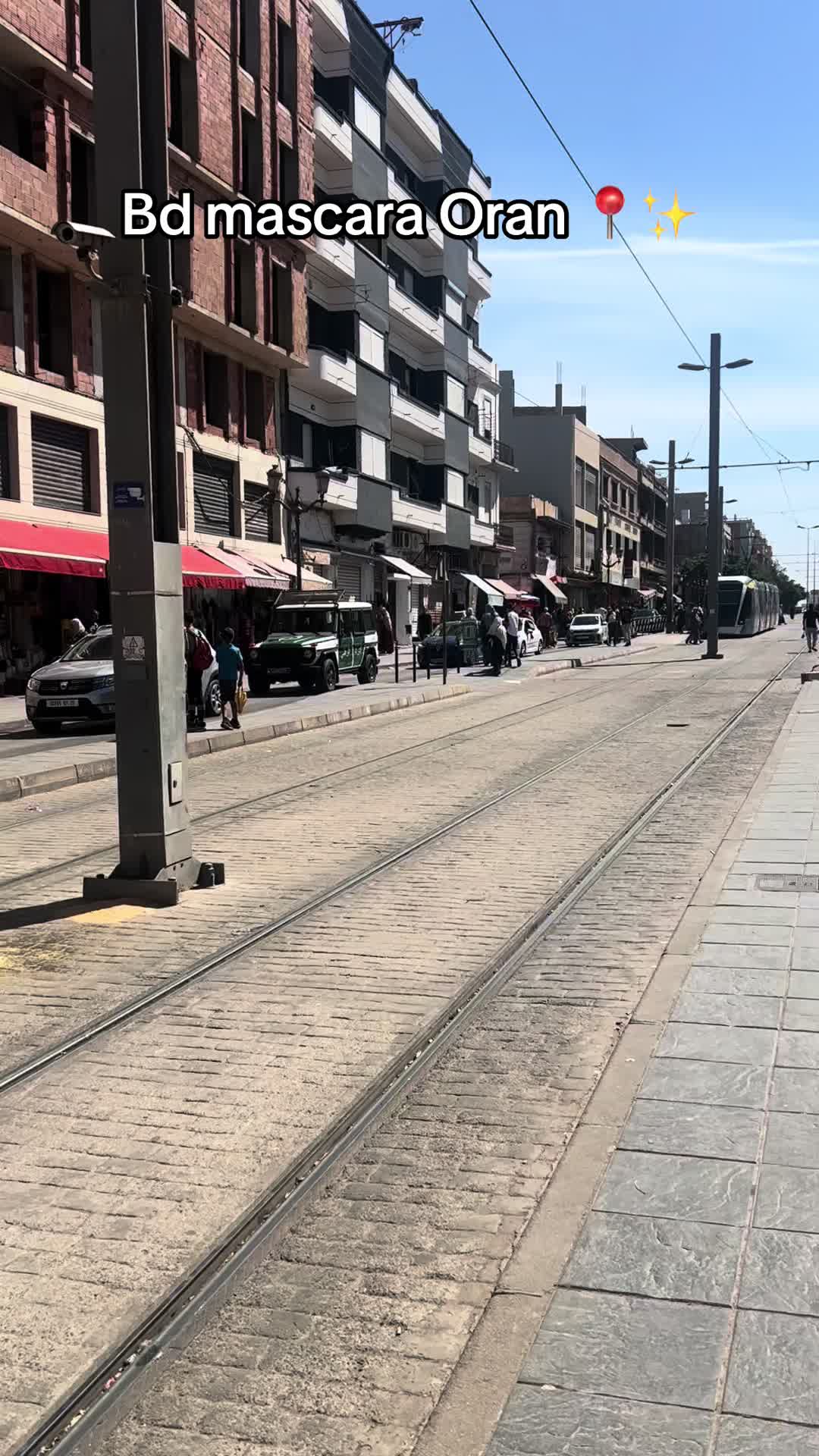 @محمد_سنوسي