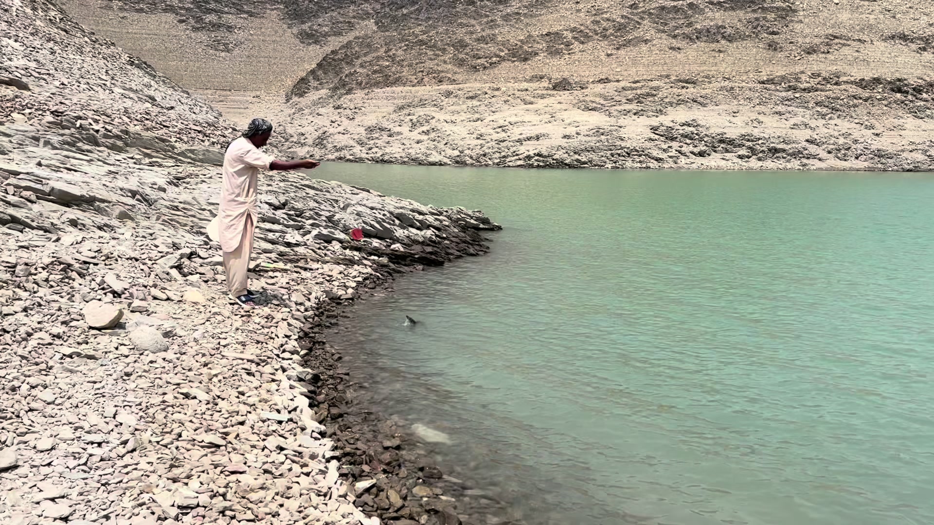 @Wah Cantt Fishing 🐬