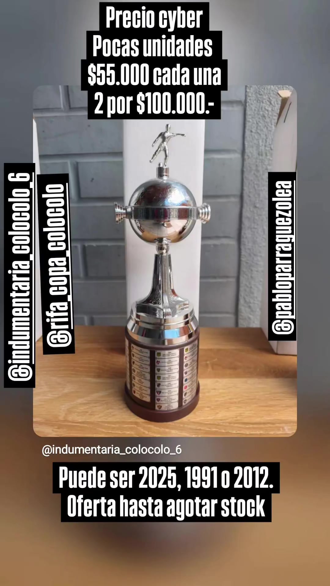 @indumentaria_colocolo_6