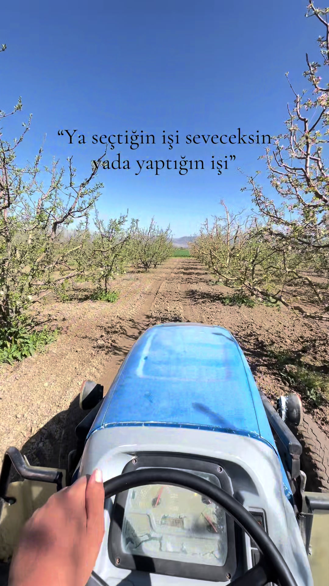 @Şahin G&ouml;m&uuml;k