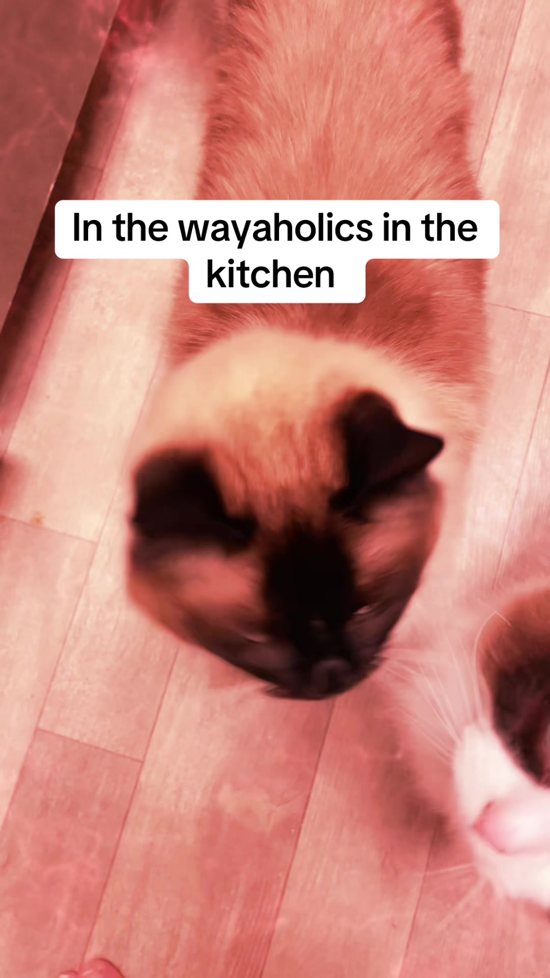 @nick_yaps_daily