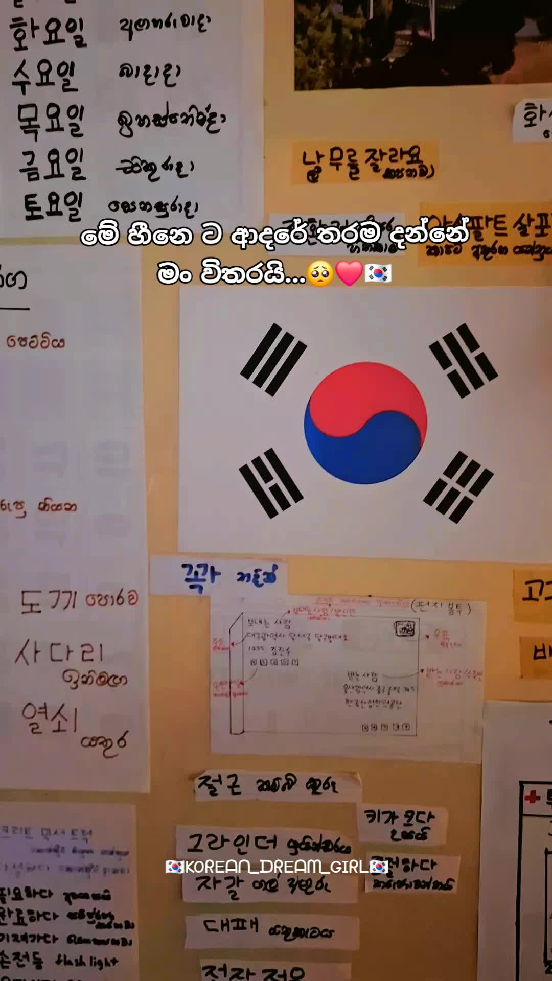 @🇰🇷KOᖇEᗩᑎ_ᗪᖇEᗩᗰ_GIᖇᒪ🇰🇷