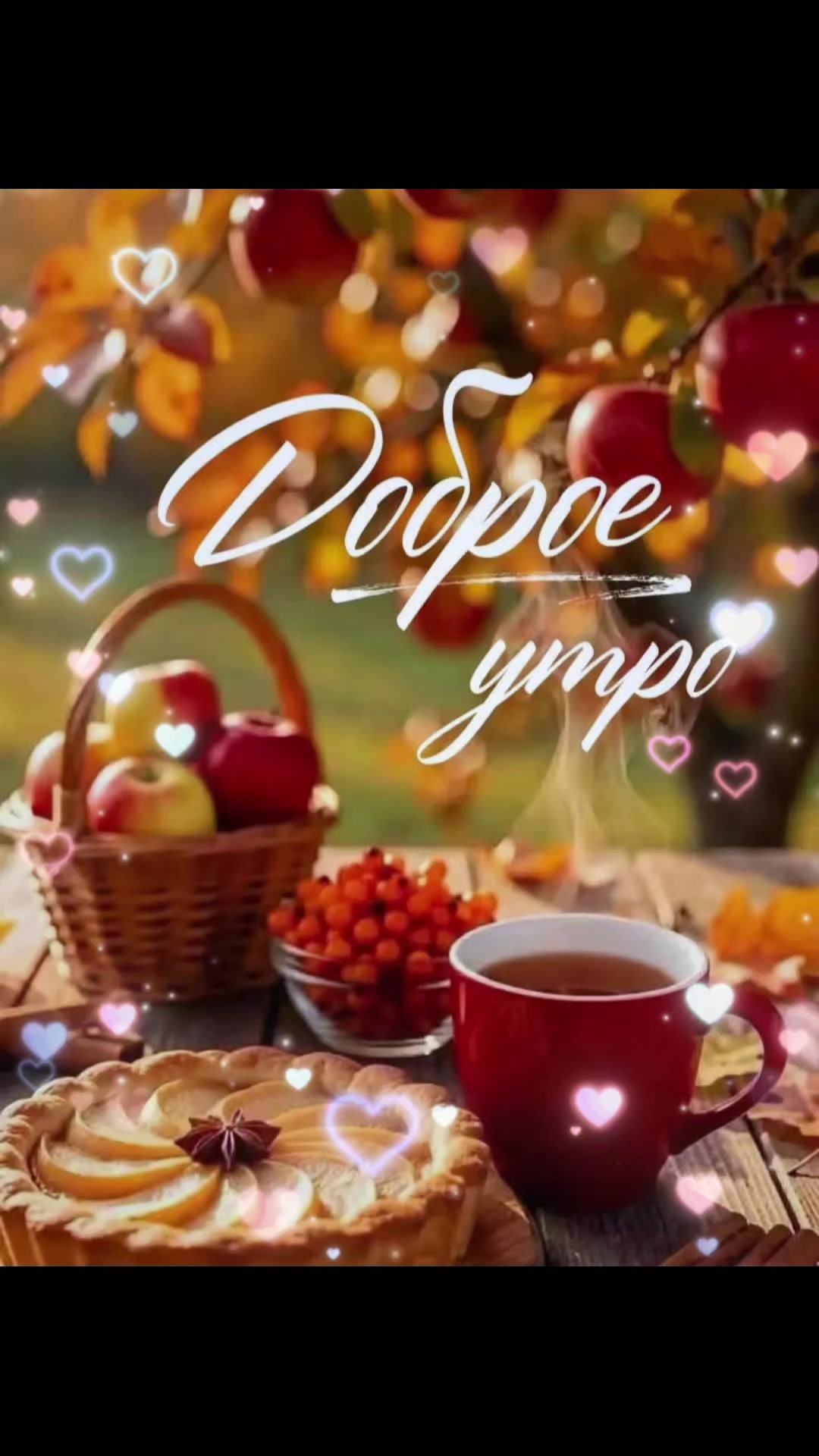 @Лара