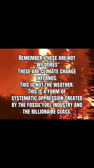 @lynnc4change
