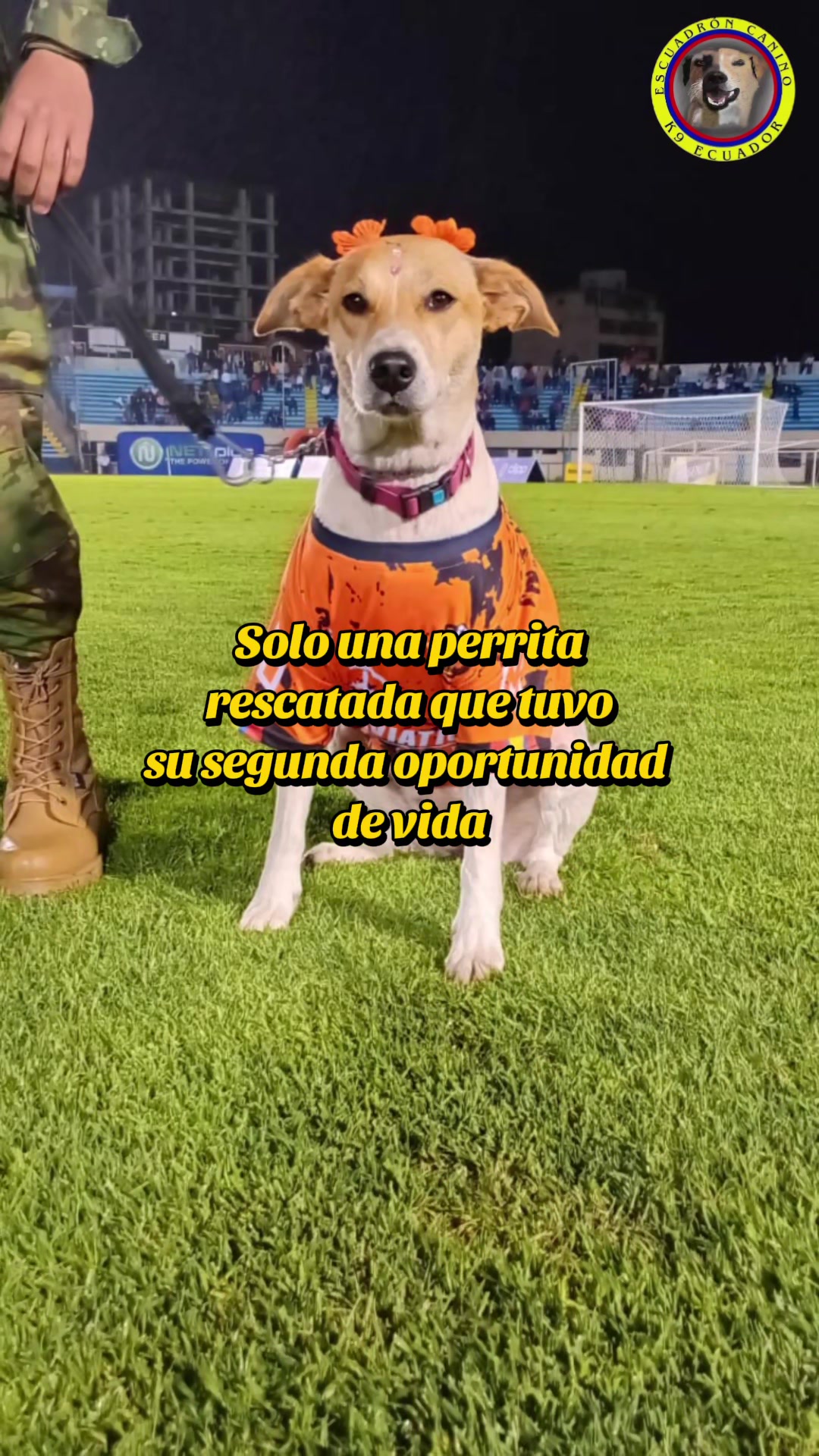 @𝕀ℕ𝕊𝕋ℝ𝕌ℂ𝕋𝕆ℝ 𝕂𝟡 𝔼.ℂ