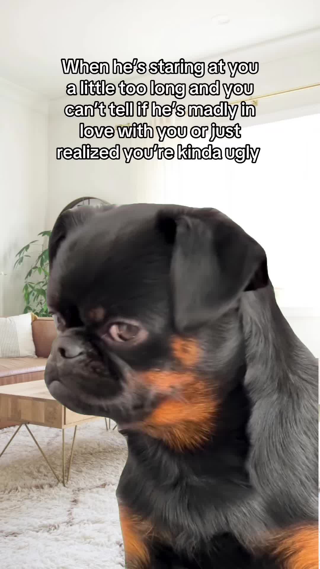 @Lizz