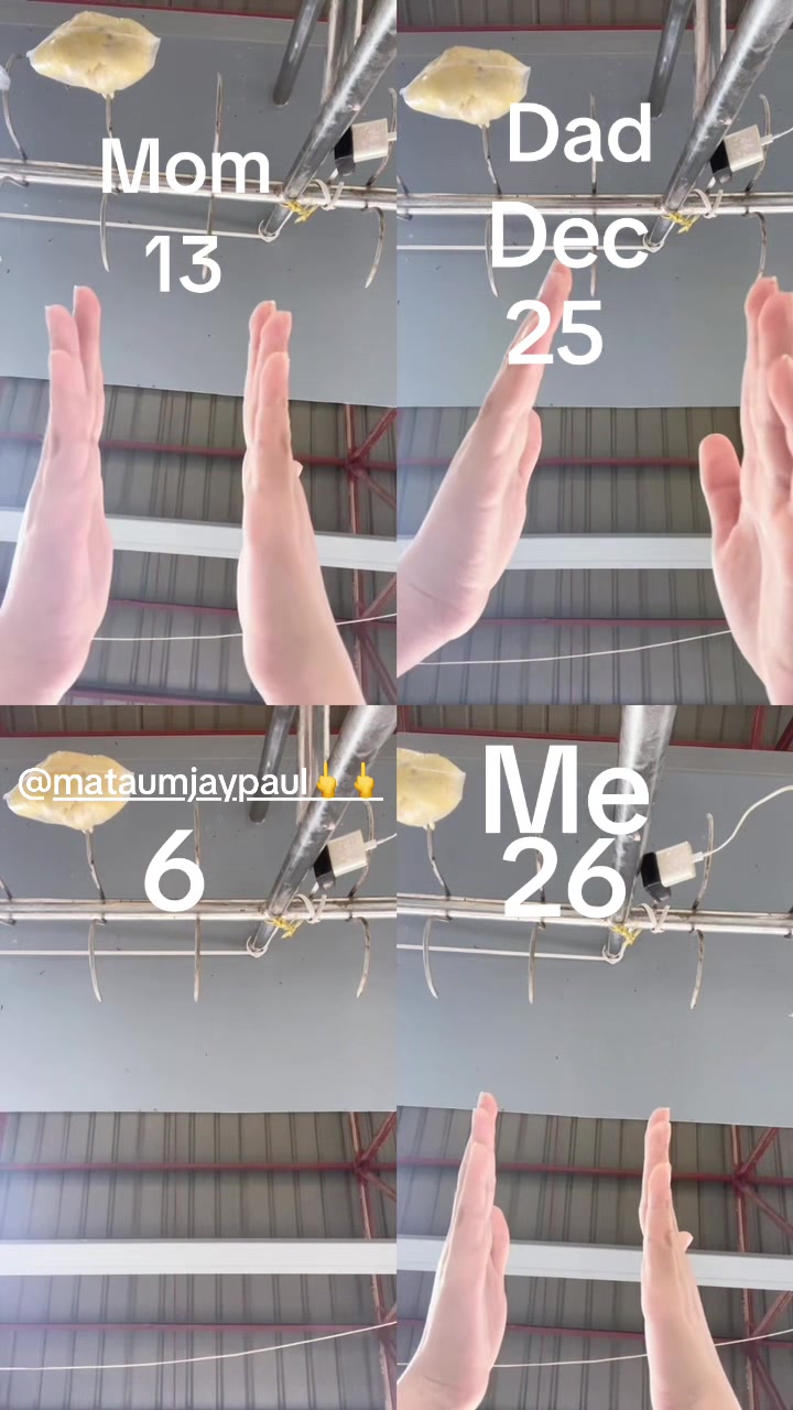 @P🌸🌸🌸