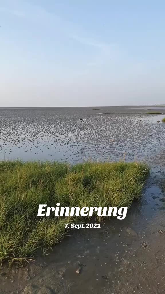 @✨️🧡Einfach Elli🧡✨️