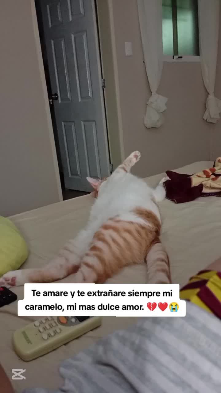 @Nataly Arevalo