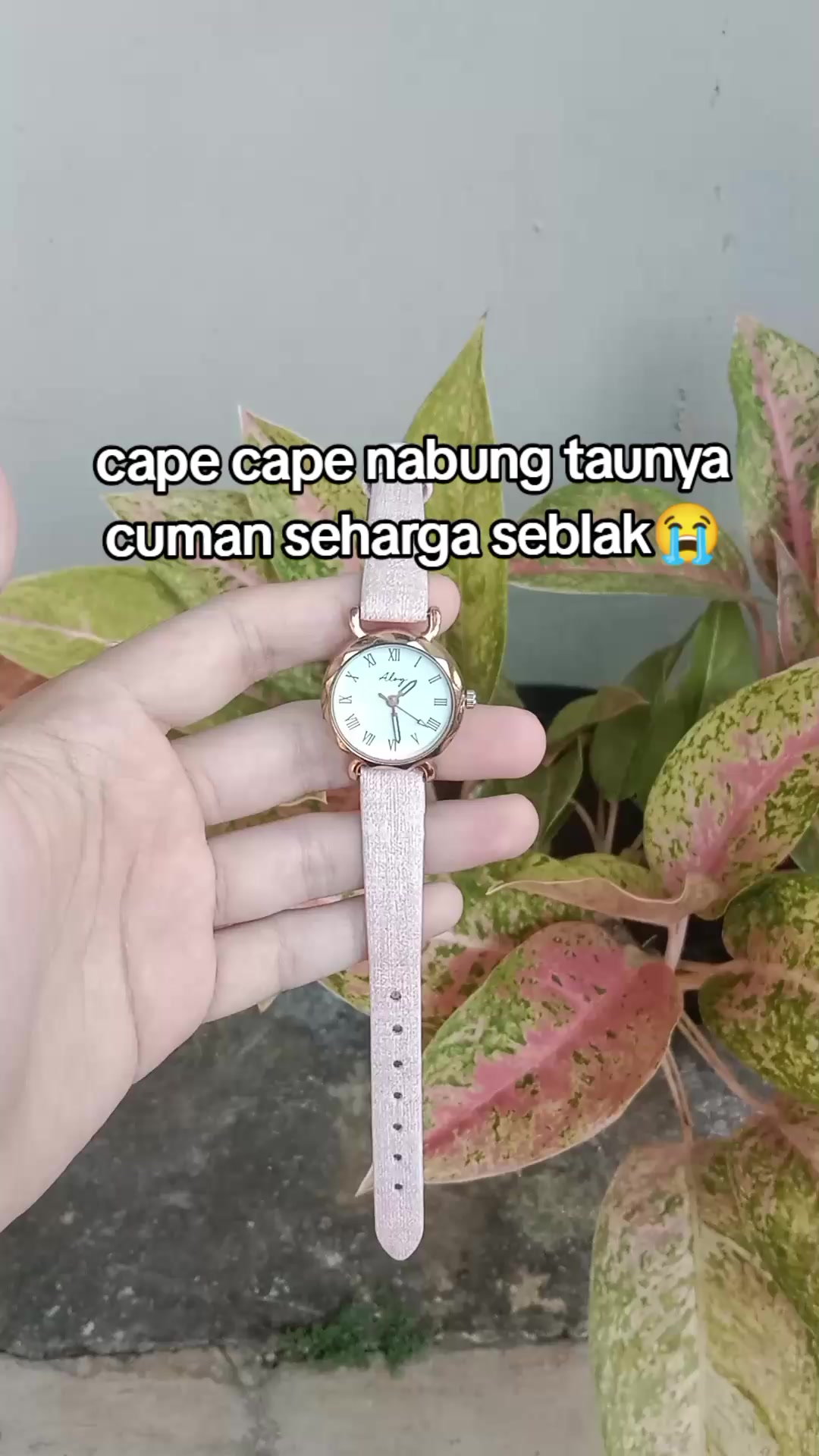 @S-tetik 🛒