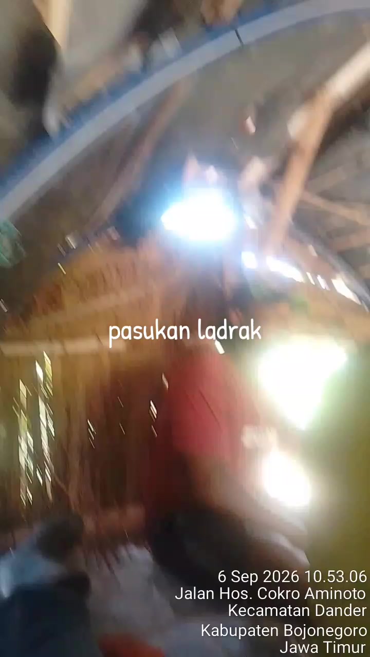@ander log 024