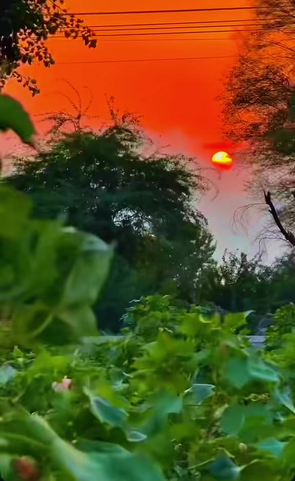 @🥬🎗️پنڈاں آے 🌺