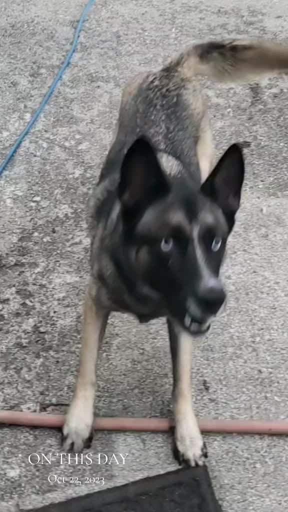 @🪓🐾🪓