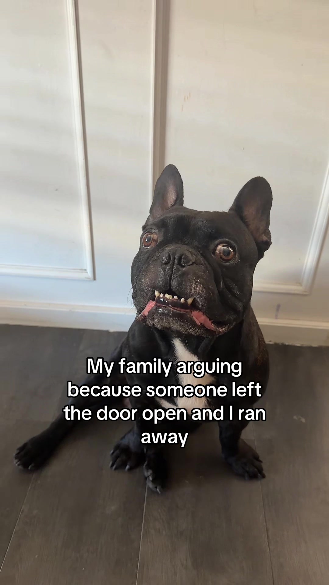 @Sam&TheFam
