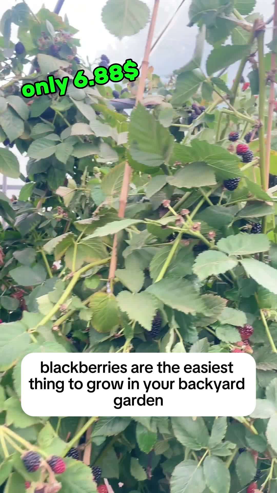 @1