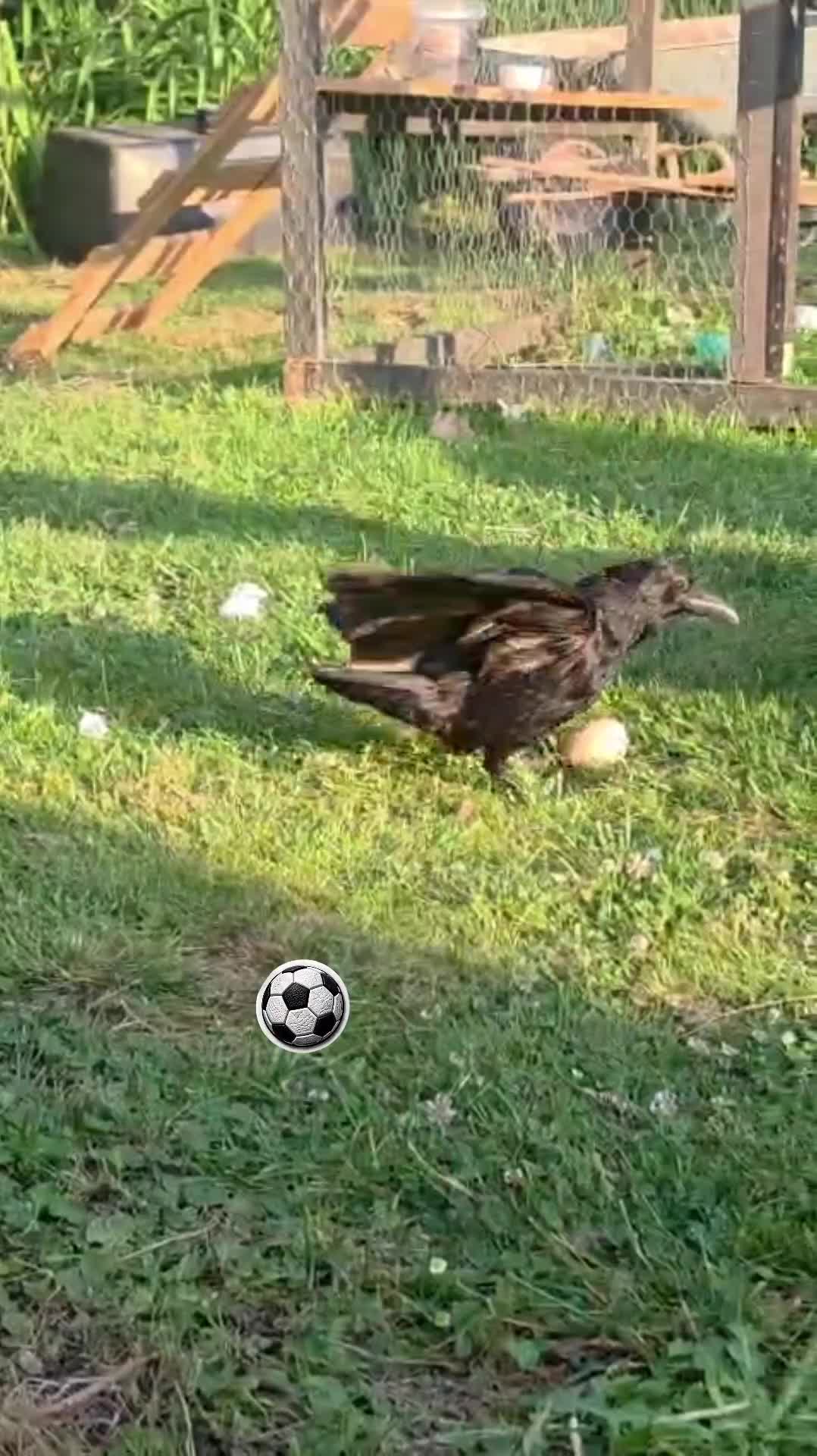 @โ๏ธ๏ธ๏ธ๐
๏ธ๐
ค๏ธ๐
๏ธ๐
๏ธ๐
๏ธ๐
๏ธ๐
๏ธโ๏ธ๏ธ๏ธ
