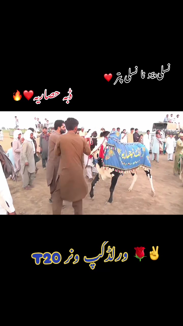 @راجہ عزیر حصار