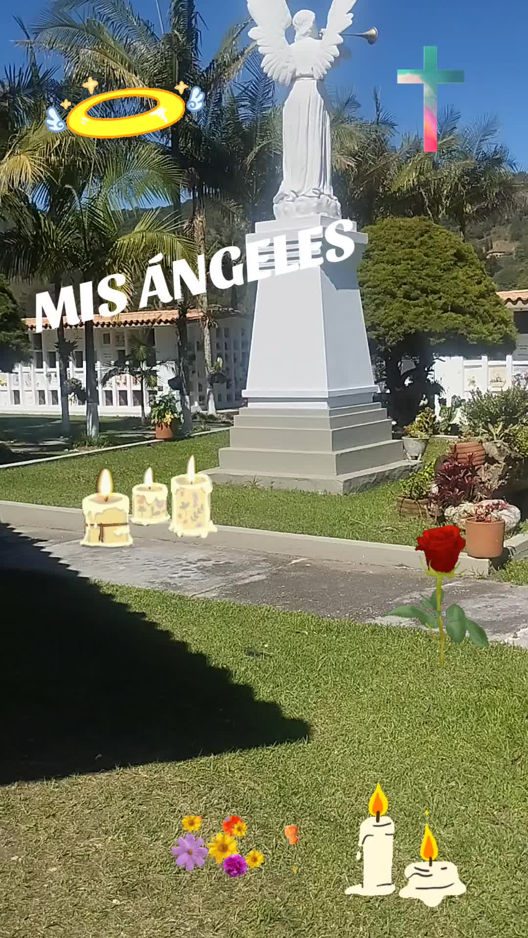 @ALEJA 🤸🍃🌻❤️🌻