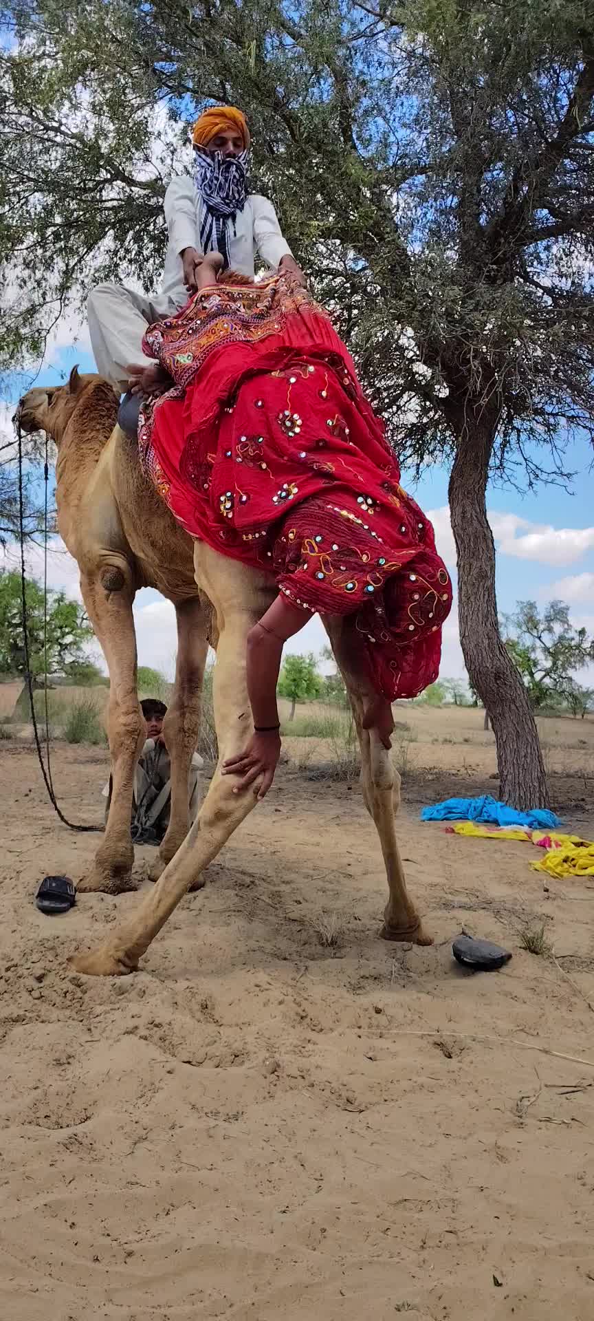 @Camel baby🐪