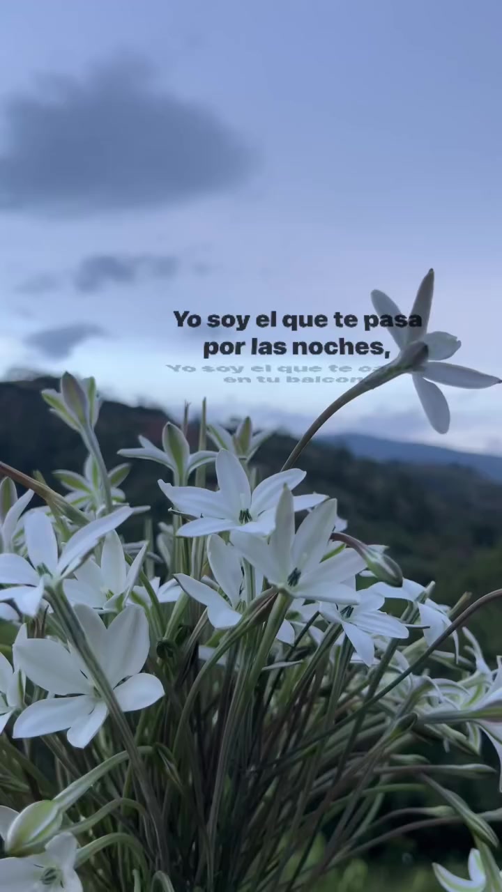 @dany412