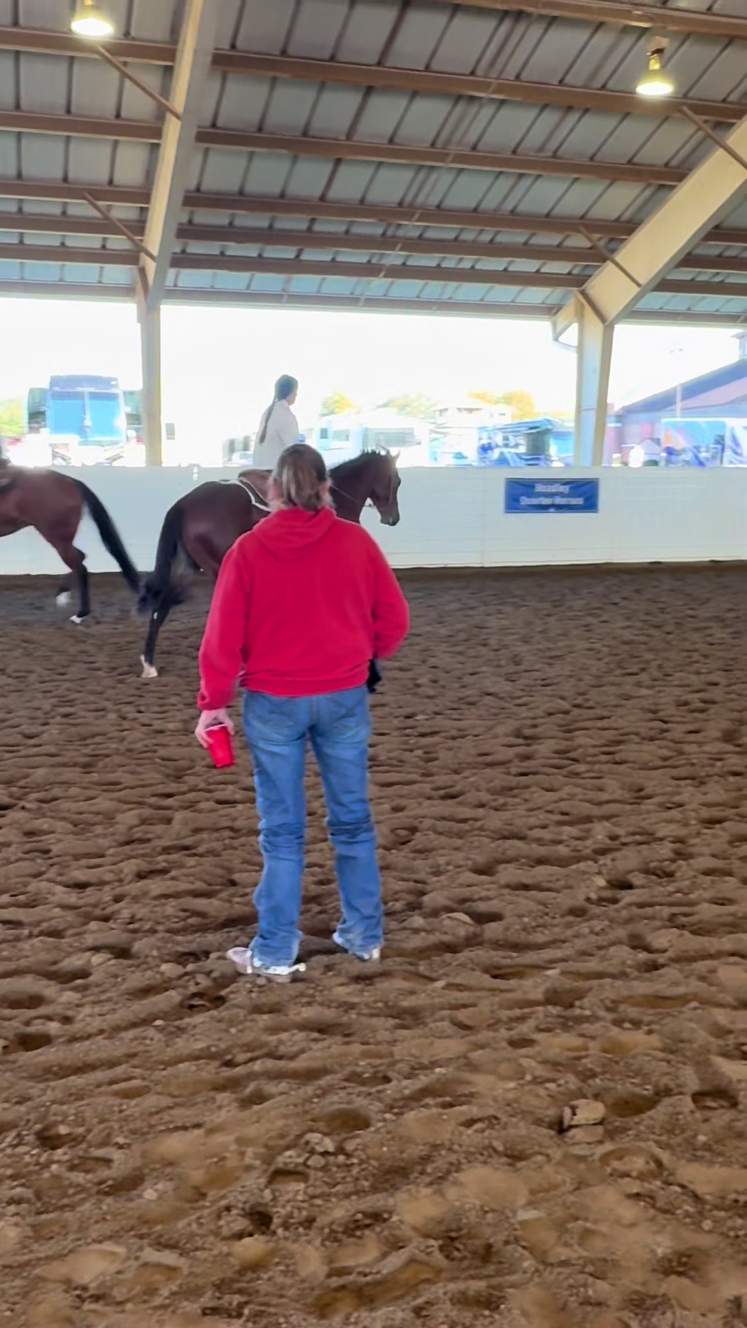 @Farley McLendon Show Horses