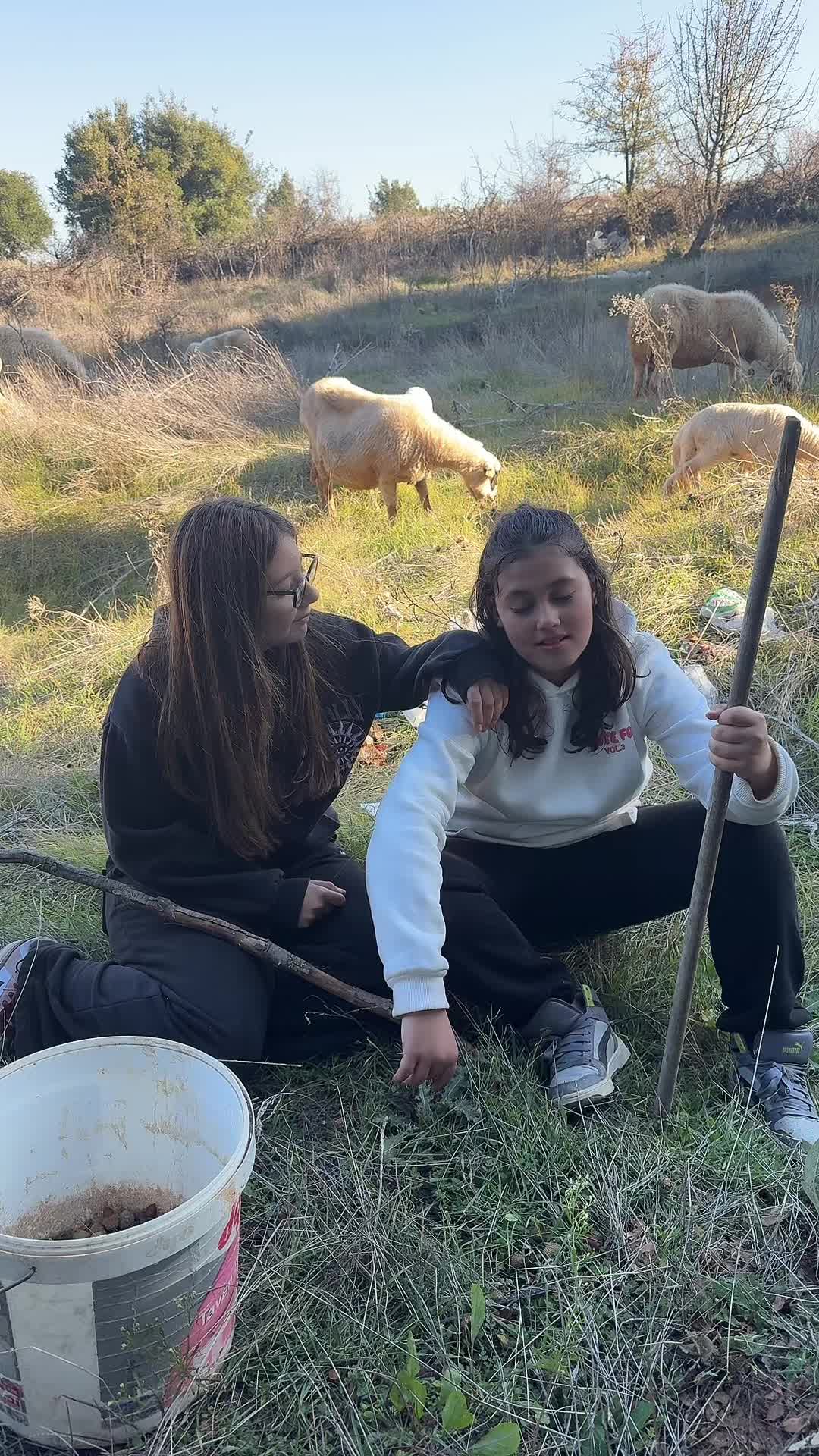 @Haticeyüksel