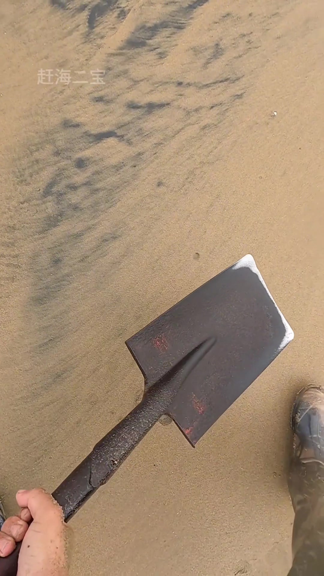 @seafood.vlog
